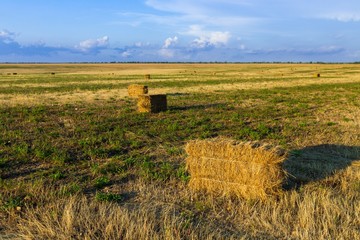 Hay Bales in a Field