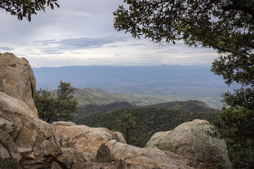 This image was made above the clouds on Mt. Lemmon, Arizona.  