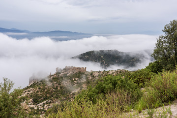 This image was made above the clouds on Mt. Lemmon, Arizona. 