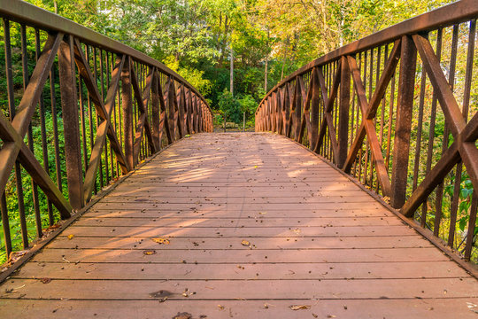 A rustic footbridge in the Autumn morning sunlight.