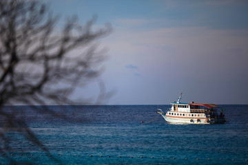 Fototapeta premium Similan Islands of Thailand National Park 