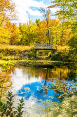 Naklejka premium Autumn forest reflection landscape. Forest, pond, & foot bridge on a beautiful autumn day, full fall colors.