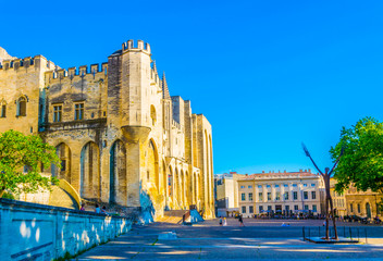View of Palais de Papes in Avignon, France