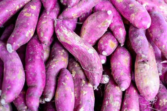 「Batata-Doce」の画像 - 235 件の Stock 写真、ベクターおよびビデオ | Adobe Stock