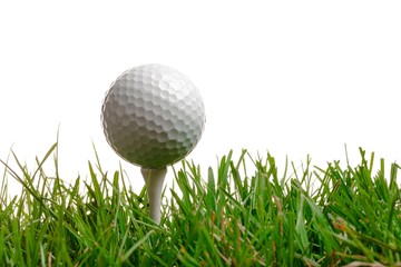 golf ball with a golf tee on a grass