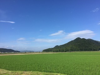 田舎の風景