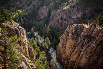 A narrow roaring stream between tall sheer canyons dotted with green trees along the Chief Joseph scenic highway in a summer time Montana landscape