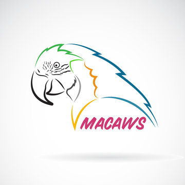 Vector of macaws parrot on white background. Bird Icon. Wild Animals. Easy editable layered vector illustration.