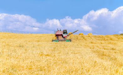 Agricultural machinery Harvester on a wheat field on a sky background landscape