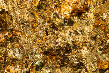 Shiny yellow gold leaf or scraps of gold foil background texture, surface from Back of Buddha image.