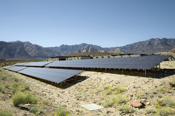 solar farm