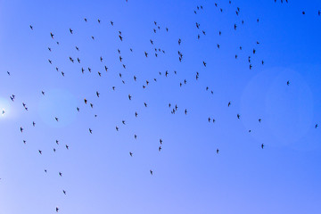 details of a blue sky