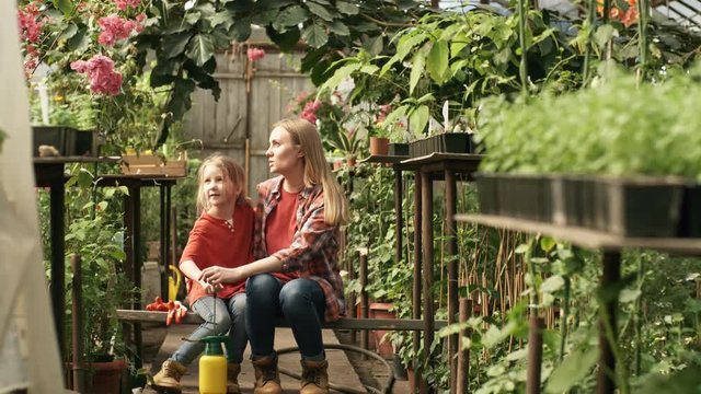 Tilt down of happy young mother sitting on bench in greenhouse and chatting with cute little daughter, then asking her to spray fertilizer on plants