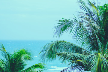 Fototapeta na wymiar Coconut palm trees with blue calm sea, summer