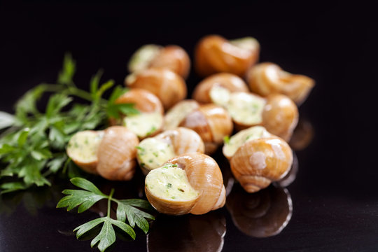 Bourguignonne Bilder Durchsuchen 1,985 Archivfotos,