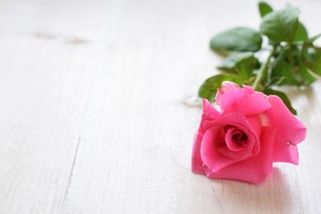 pink roses with notebook coffee cup and pen, concept for mother's day, woman or birthday