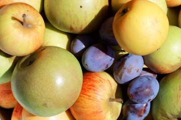 Collection of apples and plums after harvest