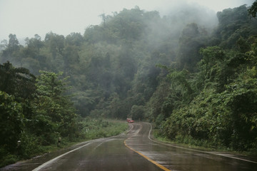 Foggy road in the forest ,Beautiful nature trail (Picture put grain)
