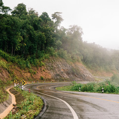 Foggy road in the forest ,Beautiful nature trail (Picture put grain)