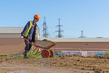 Worker is carrying the soil on the wheelbarrow