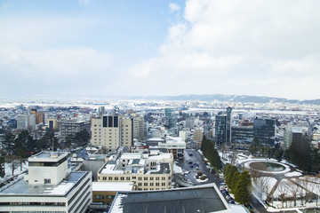 Fototapeta na wymiar 富山市役所展望塔からの風景（西方向）