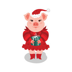 Funny Christmas Pig. A pink pig in a red dress and a Santa Claus hat holds a gift, a white background. Isolated elements, Vector illustration