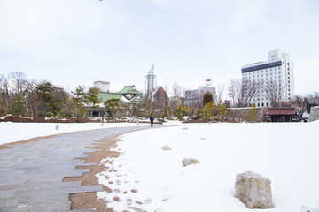 Fototapeta premium Toyama Castle Park