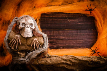 skeleton bone with spider web on wooden board. happy halloween concept