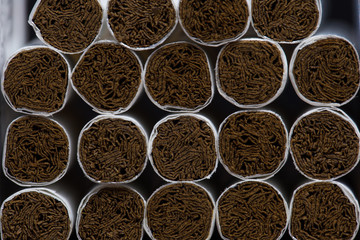 Close-up of Tobacco Cigarettes Background or texture