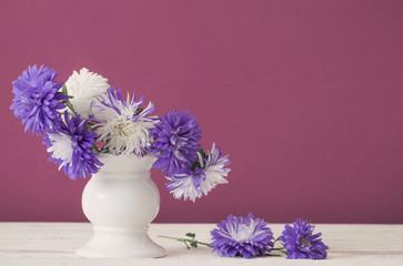 blue aster flowers in white vase