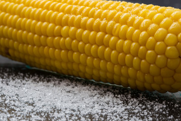 Corn on a dark background with salt close-up