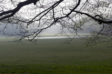 mountain lake landscape and country field