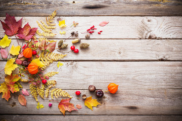 red berriaes and  autumn leaves on old wooden background