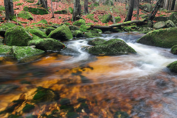 Rapids on Jedlova Brook, Jizera Mountains,  Czech Republic