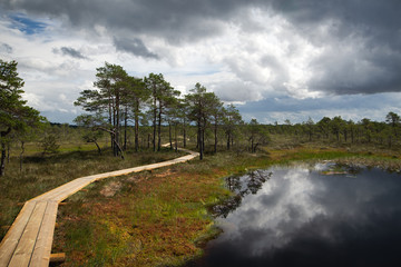 Bog path and clouds