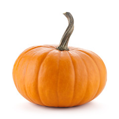 Perfect shape orange pumpkin for Halloween celebration isolated on white