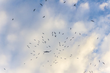 details of a blue sky