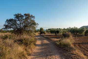 The road to Santiago and the via augusta in Castellon