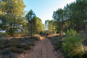 The road to Santiago and the via augusta in Castellon