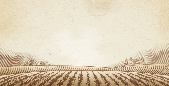 Engraved countryside scenery