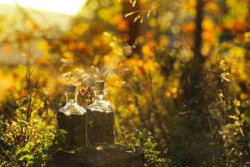 Herbal Green Tincture in the autumn forest.natural tincture of medicinal herbs in a square glass...