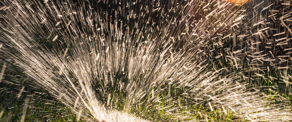 Splashing water to water the lawn as a background