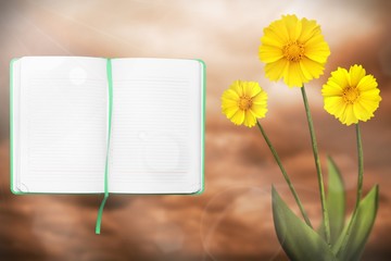 Beautiful live coreopsis with opened note book with blank place for your information on left on colored sky with clouds background. Floral spring or summer flowers concept.