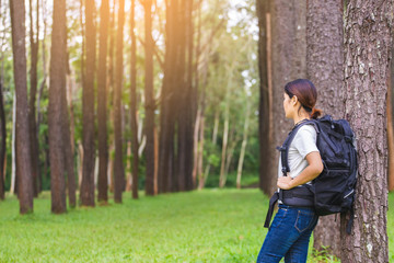 Traveling woman with backpack In the beautiful pine forest at sunset.