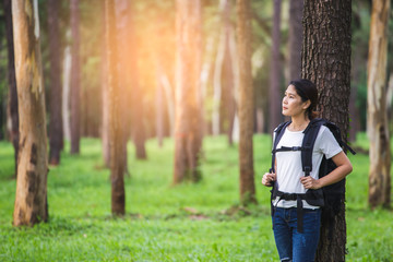 Traveling woman with backpack In the beautiful pine forest at sunset.