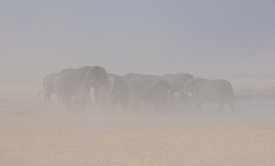 Dust Storm