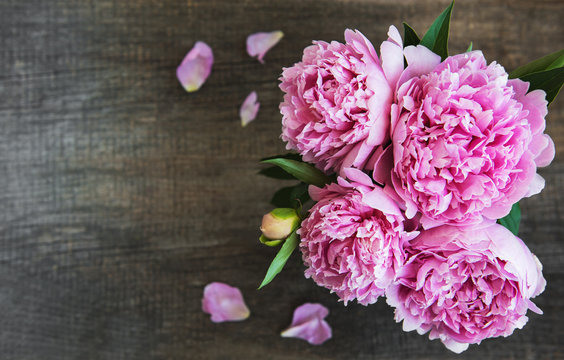 Fototapeta Pink peony flowers