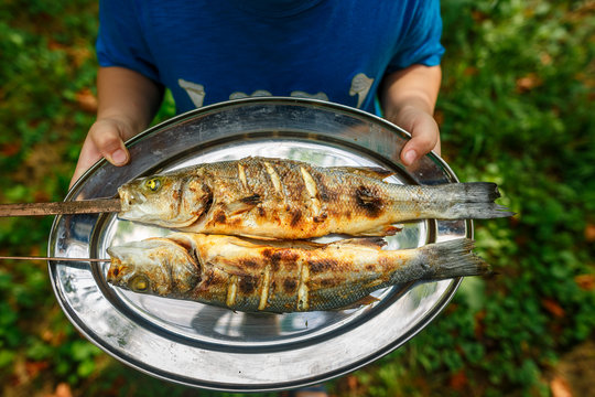 Grilled Fish Food. Grill From A Sea Bass. Seabass On Skewers