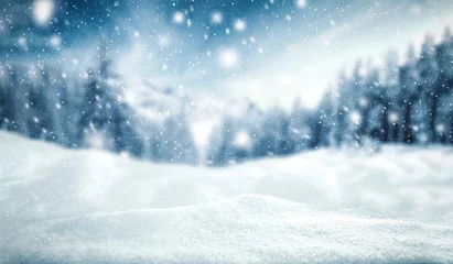 Poster winterachtergrond van sneeuw en vorst met landschap van bos © magdal3na