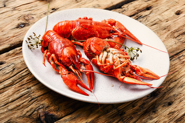 Crawfish on wooden background